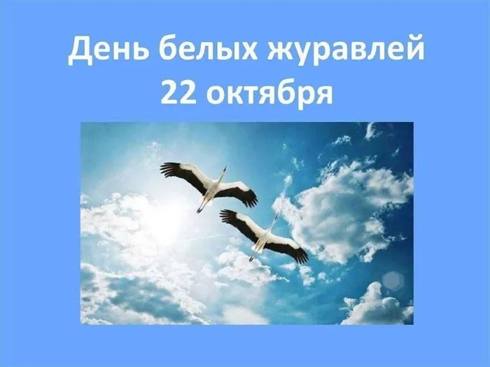 44cf18ec-3a00-53fc-9d1c-06150313f09c
