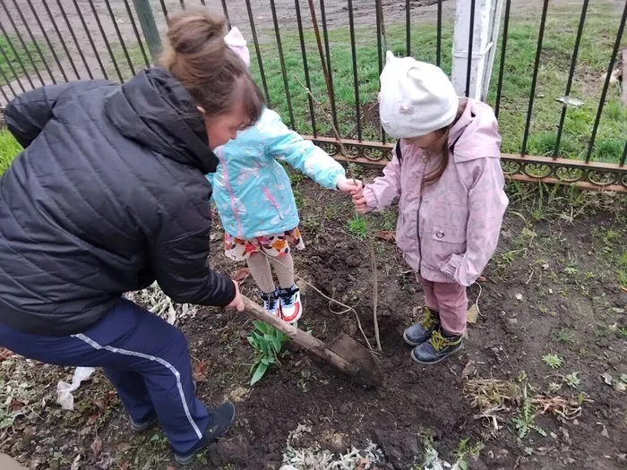 IMG_20260422_110203_469