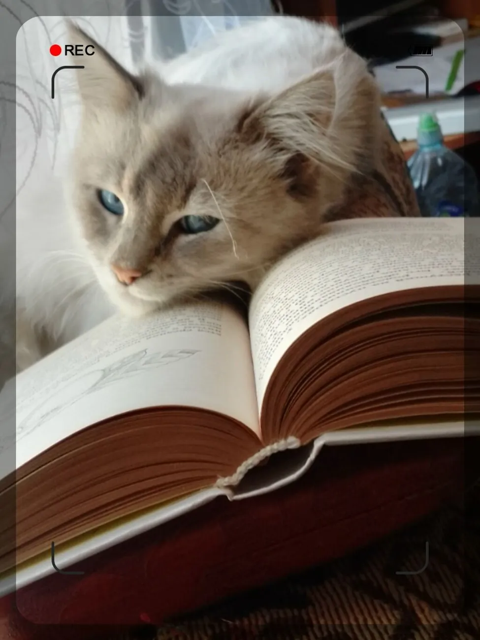 T1KatZNKJs19bH4ull8MyeUZhEPYMZLdMTWxEMM2flFiCKcIvZoQ4BeVMSBAnyuc1XCY20D1ZKkNw5G5pNhz166Z